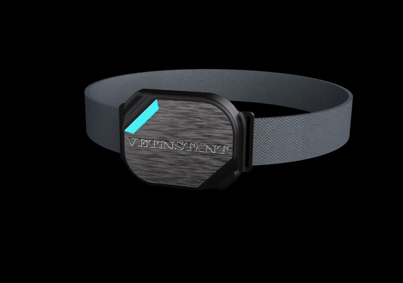 Pet collar by Vetinstant